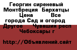 Георгин сиреневый. Монтбреция. Бархатцы.  › Цена ­ 100 - Все города Сад и огород » Другое   . Чувашия респ.,Чебоксары г.